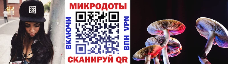 Купить закладки  Заринск  Псилоцибиновые грибы Psilocybe 